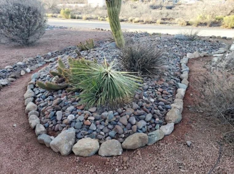 Desert landscape featuring rocks and cacti arranged in a decorative garden bed.