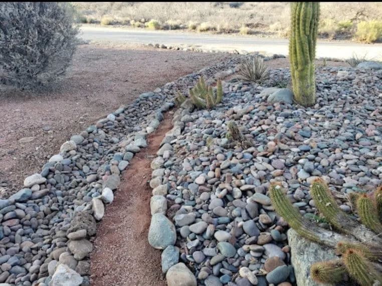 Rock pathway through a desert landscape with cacti and pebbles lining the sides.