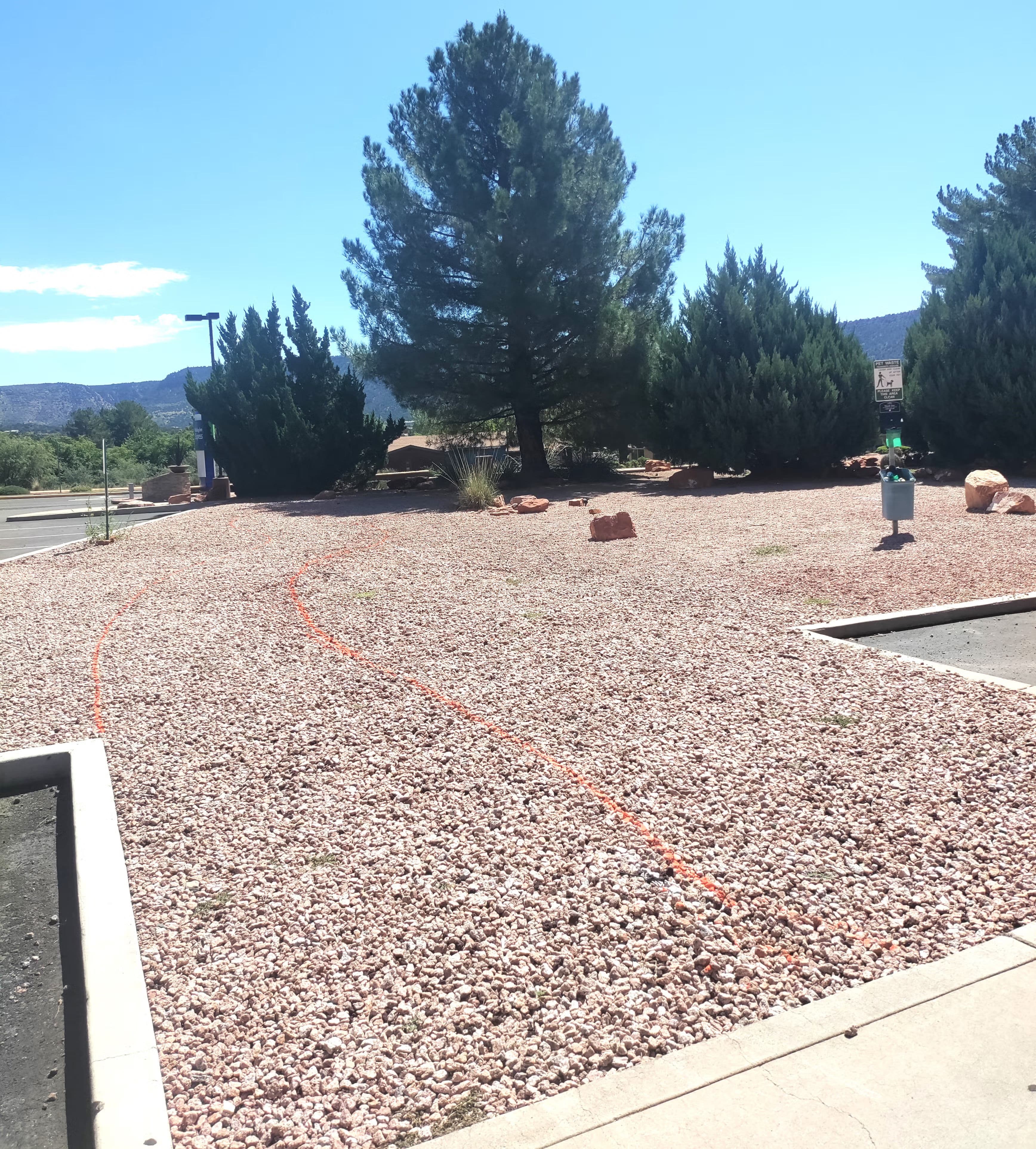 Desert landscape with gravel, pine trees, and a clear blue sky in a parking area.
