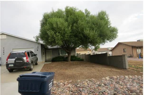 Front yard with large tree, gravel landscaping, and parked SUV beside a blue trash bin.