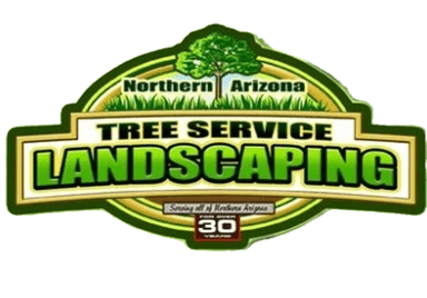 Northern Arizona Tree & Landscape Service